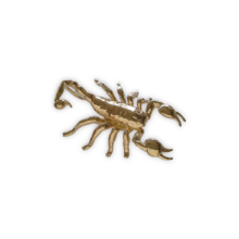 17_02_Soprammobile_Scorpione_Oro_18_Karati_750_Giallo_Creazione_Unica_fatto_a_Mano_Genova